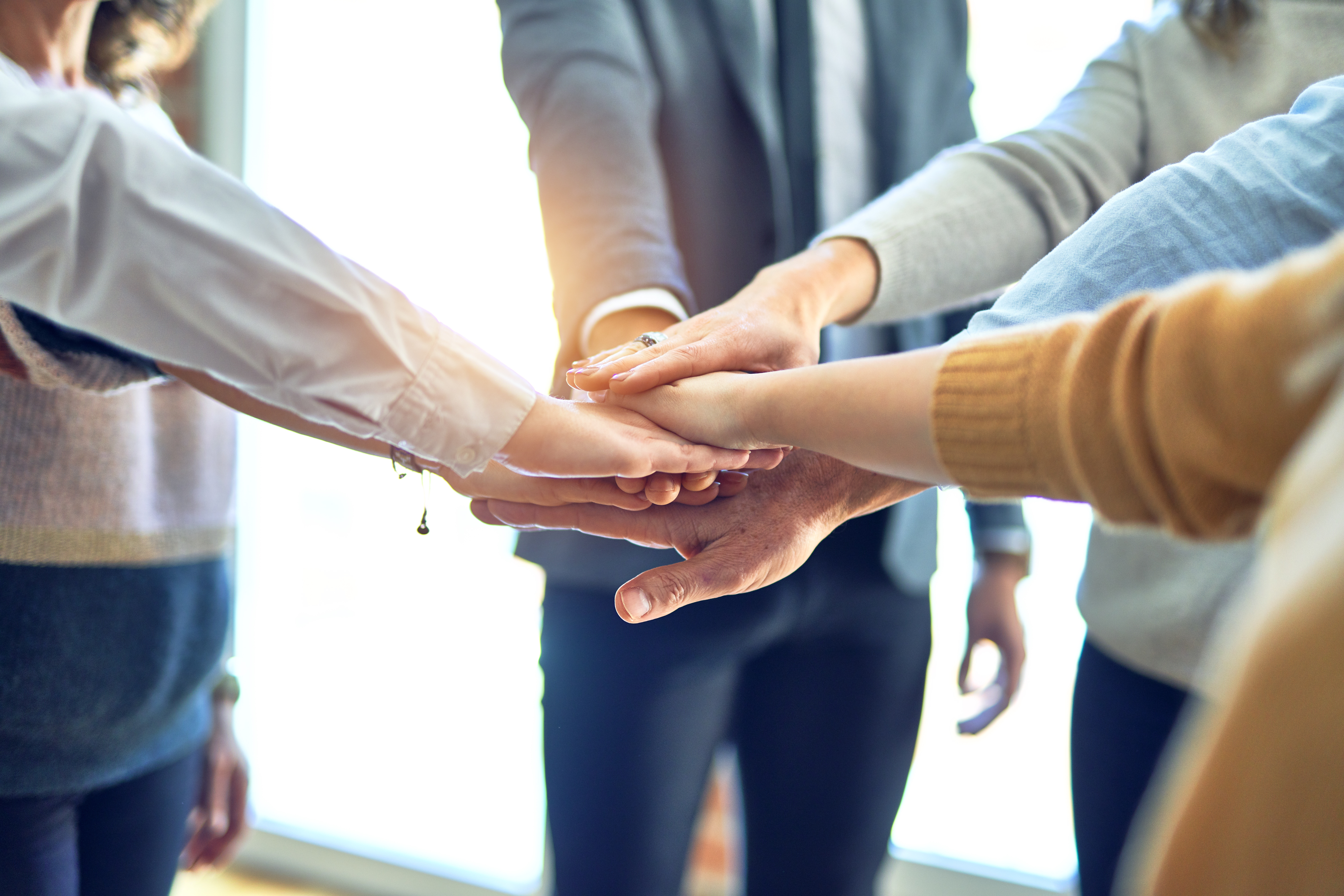 Nonprofit team